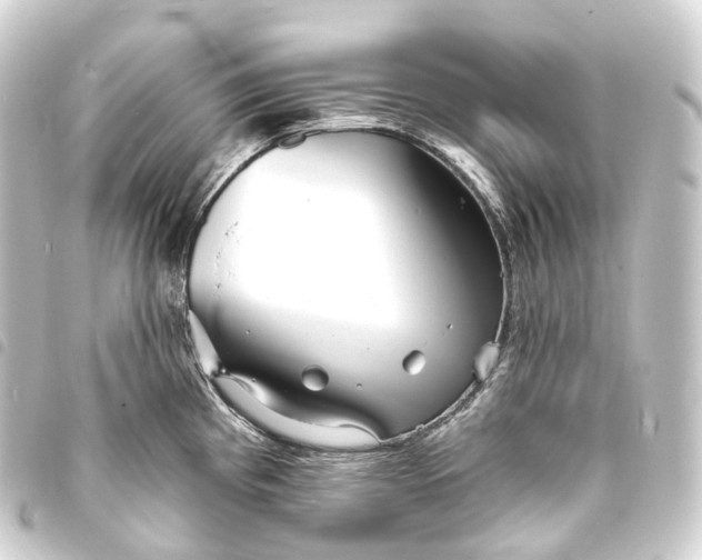 X0000093761193200710301138