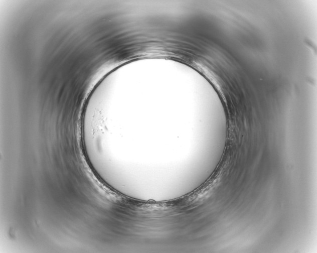 X0000093761195200710301138