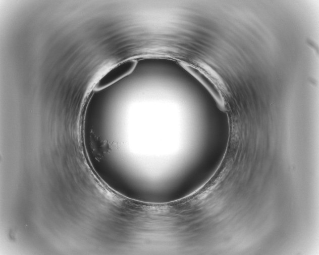 X0000093761196200710301138