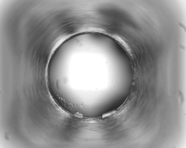 X0000093761199200710301138