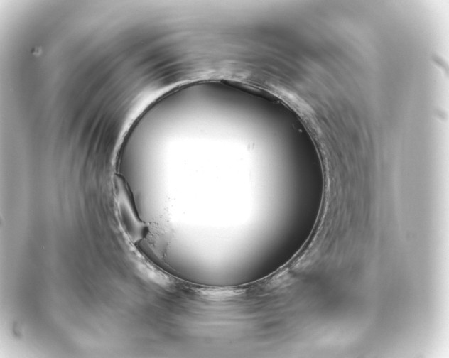 X0000093761200200710301138