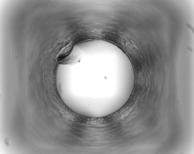 X0000093761201200710301137