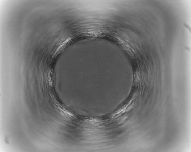 X0000093761202200710301137