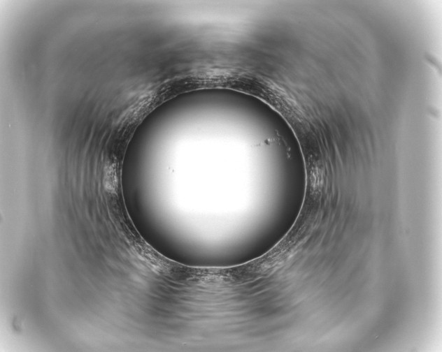 X0000093761204200710301137