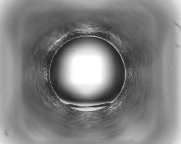 X0000093761205200710301137