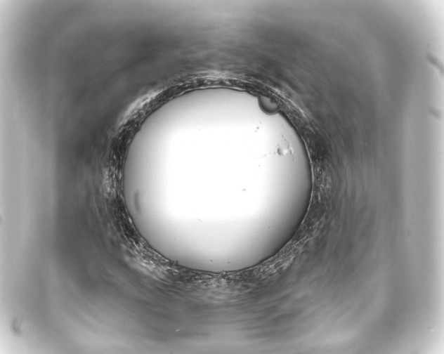 X0000093761207200710301137