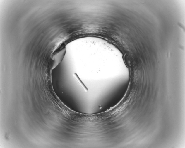 X0000093761210200710301137