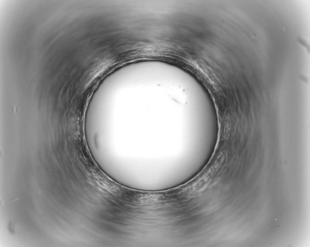 X0000093761211200710301137