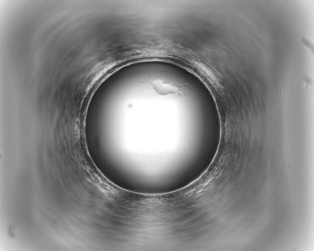 X0000093761212200710301137