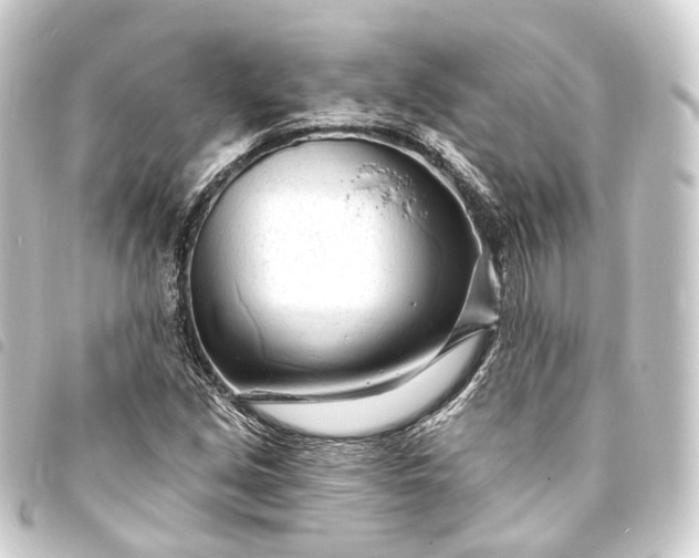 X0000093761213200710301137