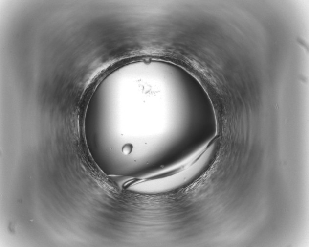 X0000093761214200710301137