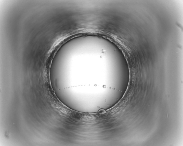 X0000093761215200710301137