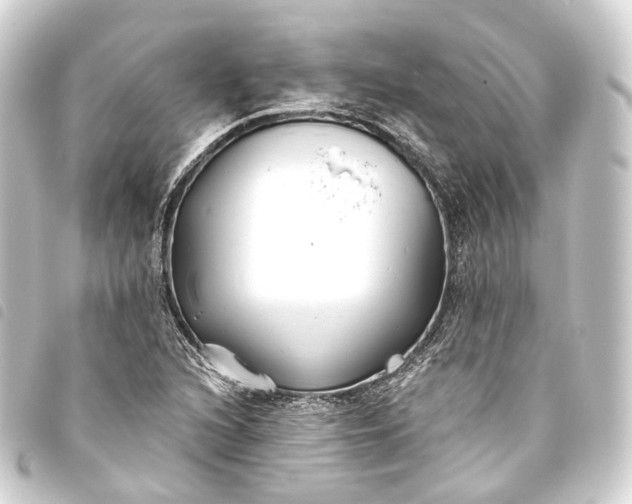 X0000093761216200710301138