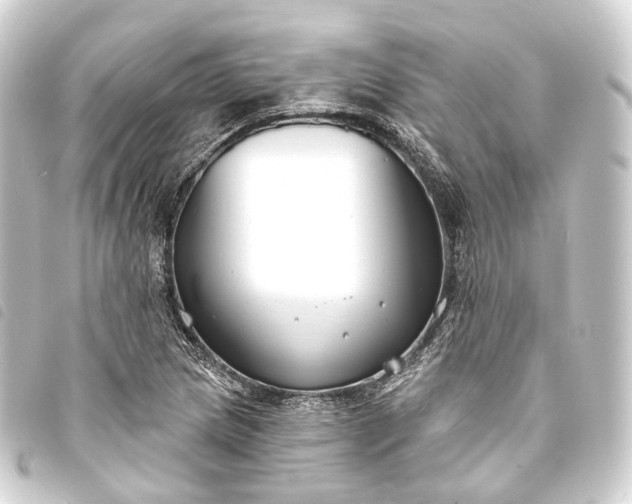 X0000093761217200710301138