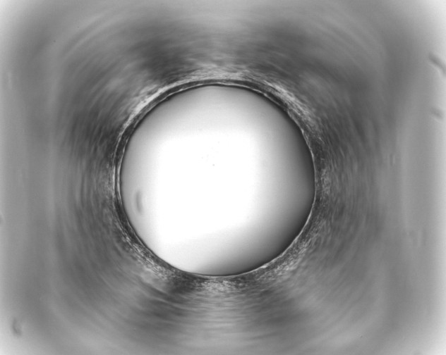 X0000093761220200710301138