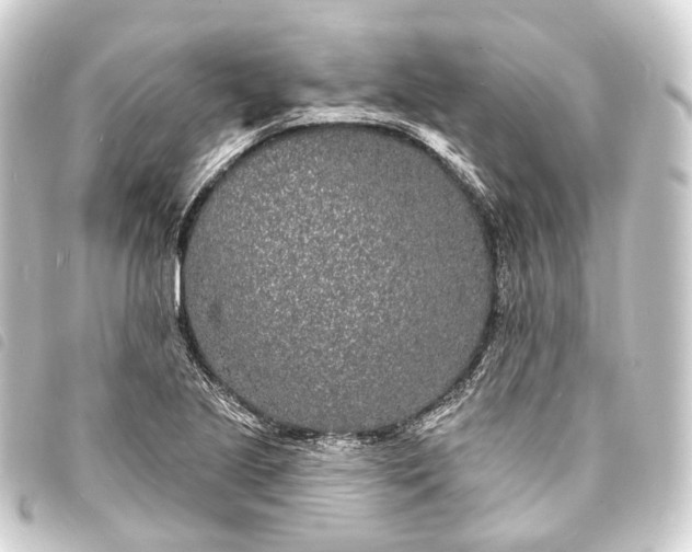 X0000093761221200710301138