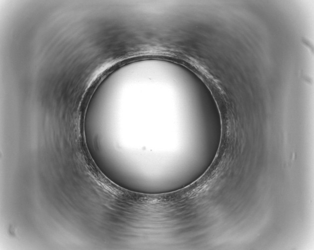 X0000093761222200710301138