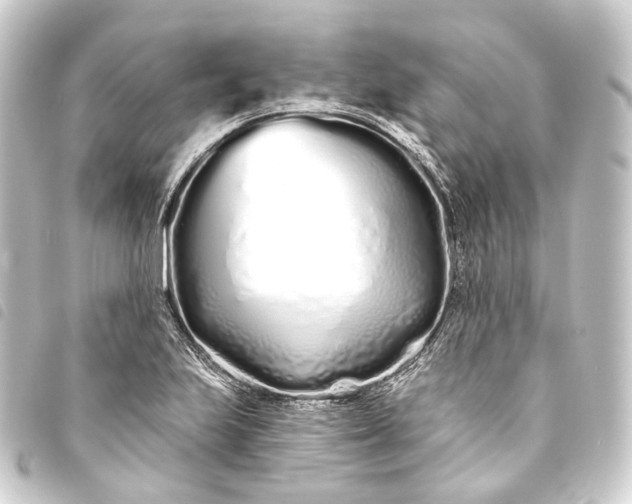 X0000093761223200710301138