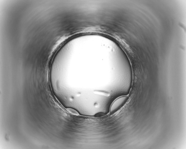 X0000093761224200710301138