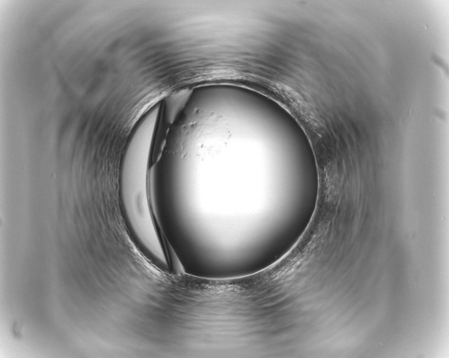 X0000093761225200710301138