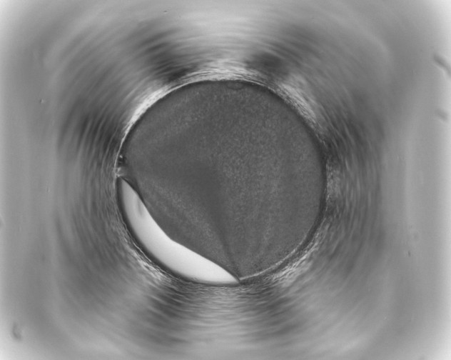 X0000093761226200710301138