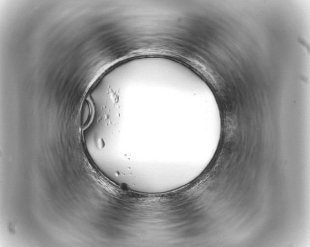 X0000093761228200710301138