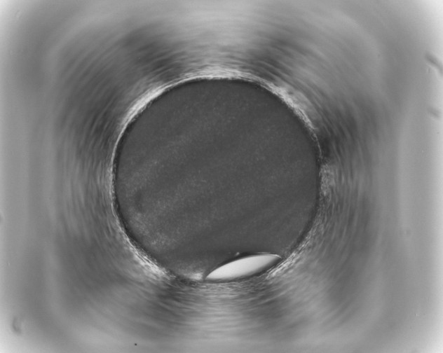 X0000093761229200710301138