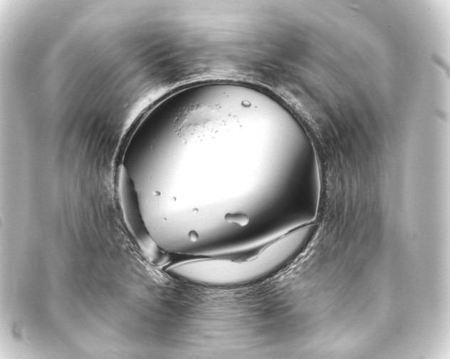 X0000093761230200710301138