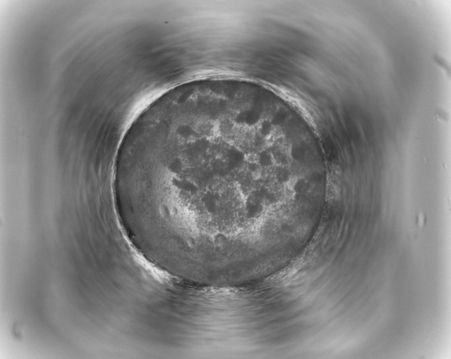 X0000093761231200710301138