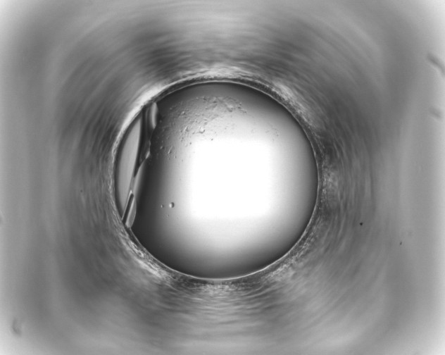 X0000093761232200710301138