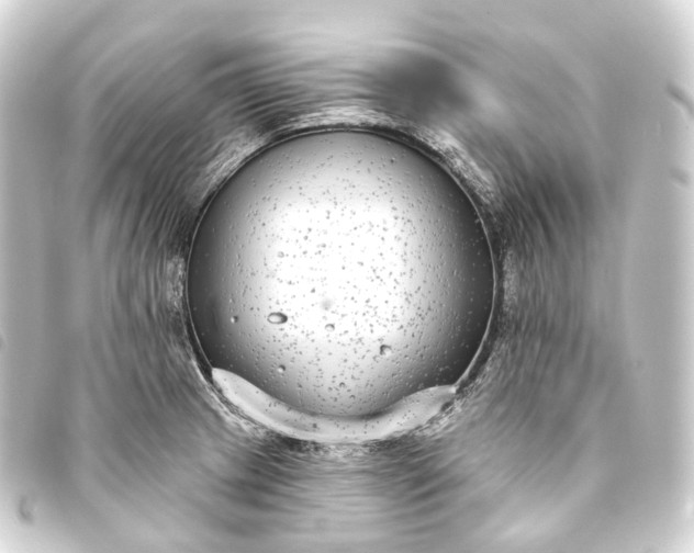 X0000093761233200710301138