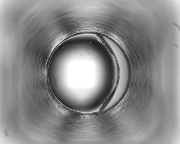 X0000093761234200710301138