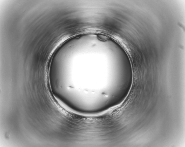 X0000093761235200710301138