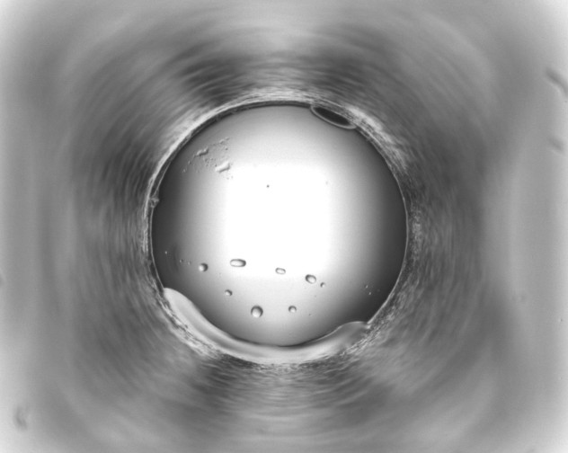 X0000093761236200710301138