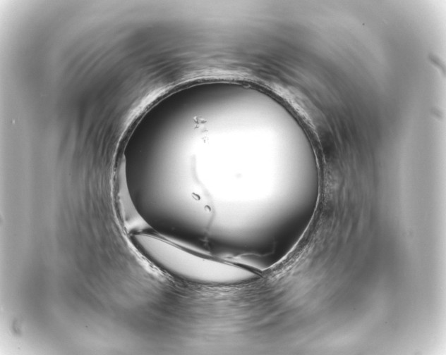 X0000093761237200710301138