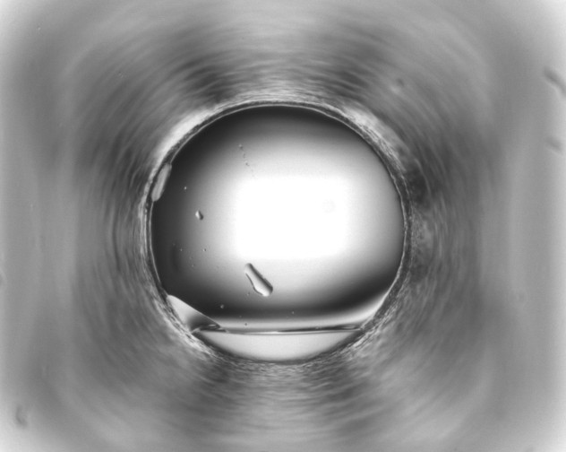 X0000093761238200710301138