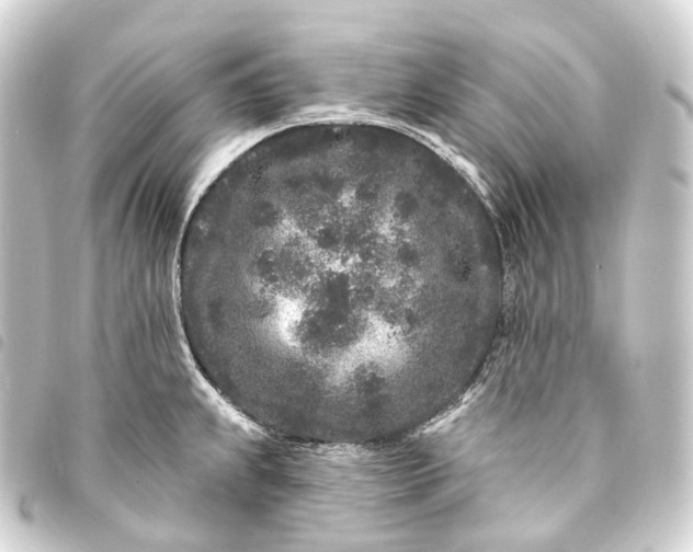 X0000093761239200710301138