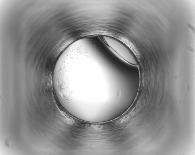 X0000093761241200710301138