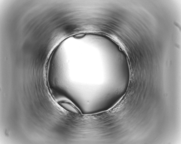 X0000093761243200710301138