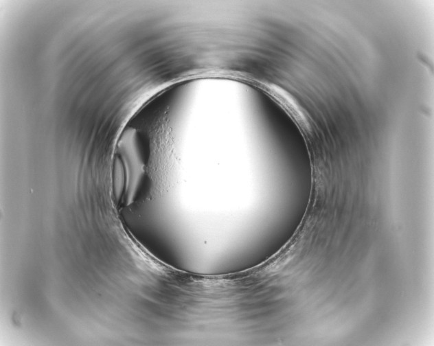 X0000093761244200710301138