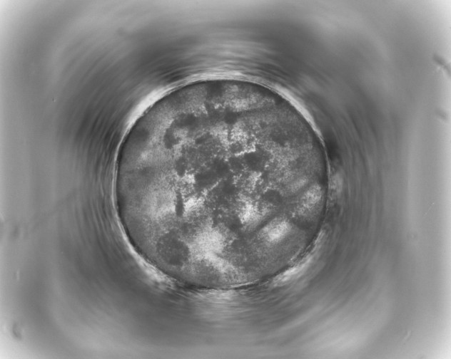 X0000093761245200710301138