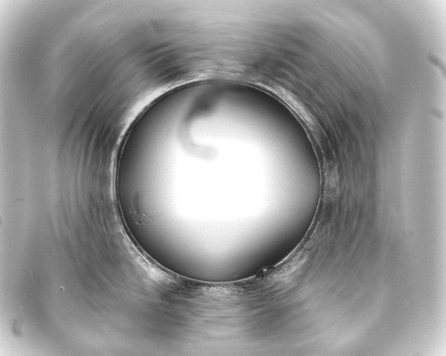 X0000093761246200710301138