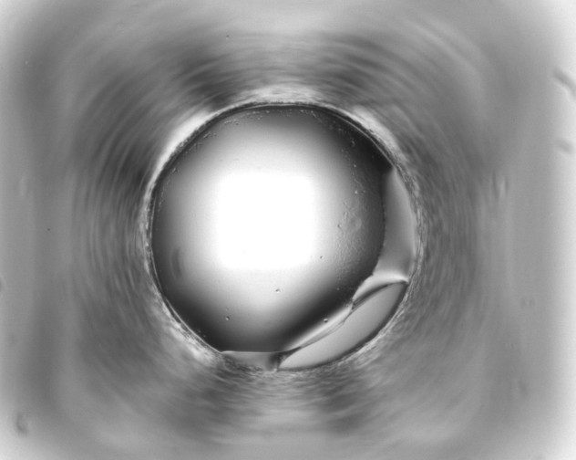 X0000093761248200710301138