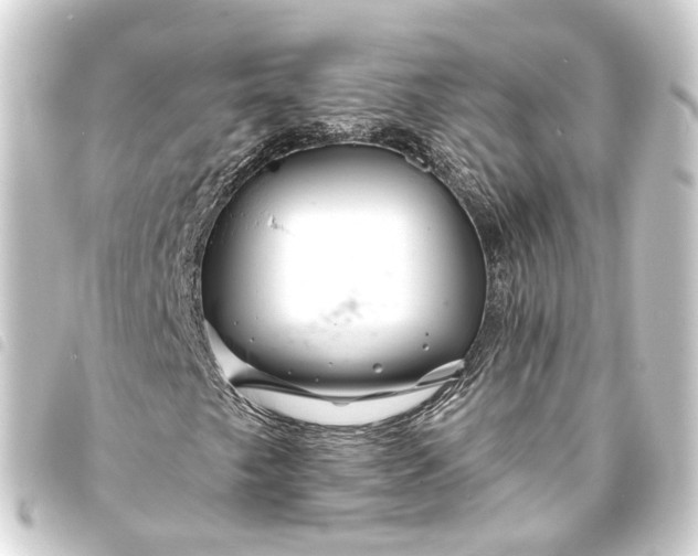 X0000093761249200710301137