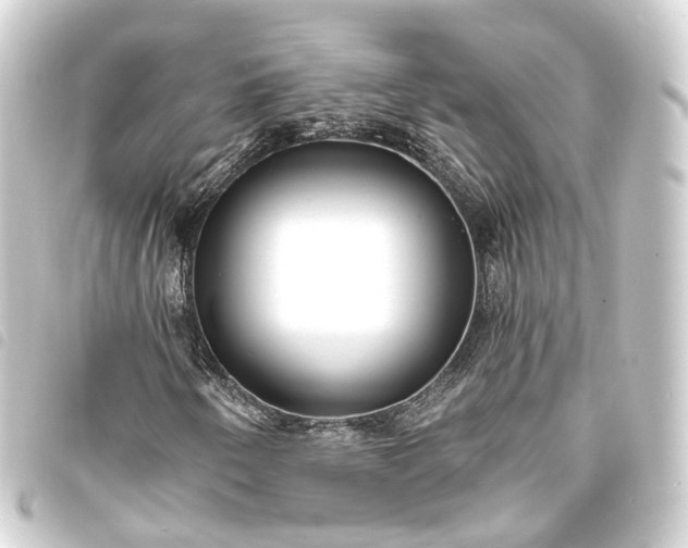 X0000093761250200710301137