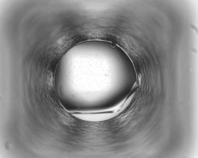 X0000093761251200710301137