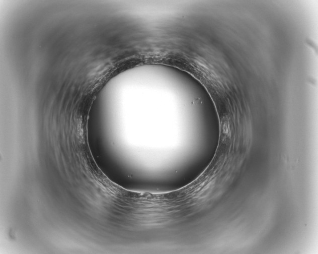 X0000093761252200710301137