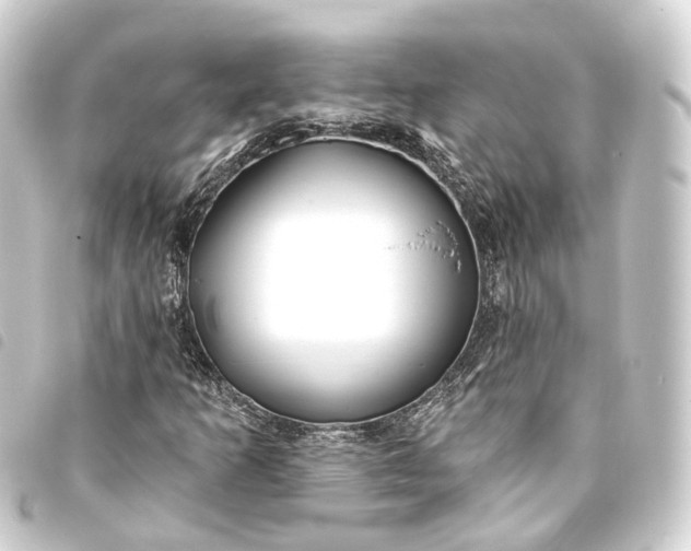 X0000093761253200710301137