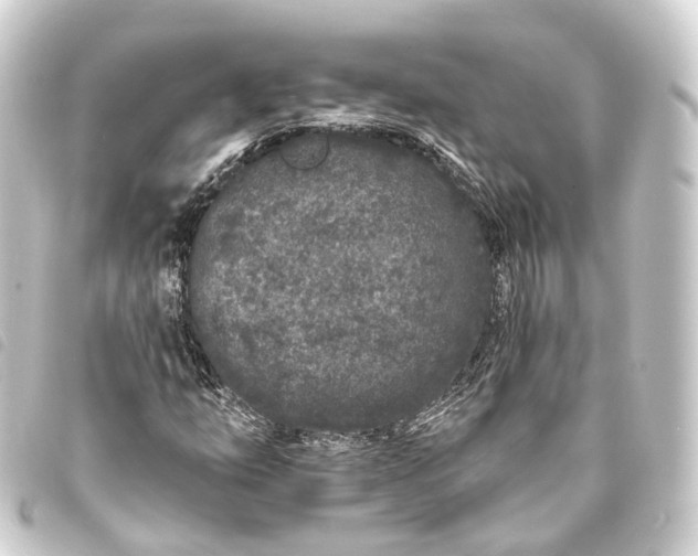 X0000093761254200710301137