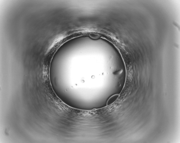 X0000093761255200710301137